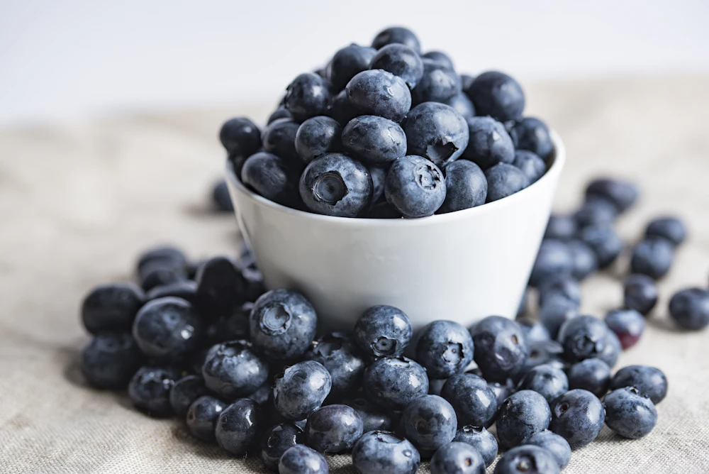 Heidelbeeren in einer weißen Schale, einige daneben verstreut
