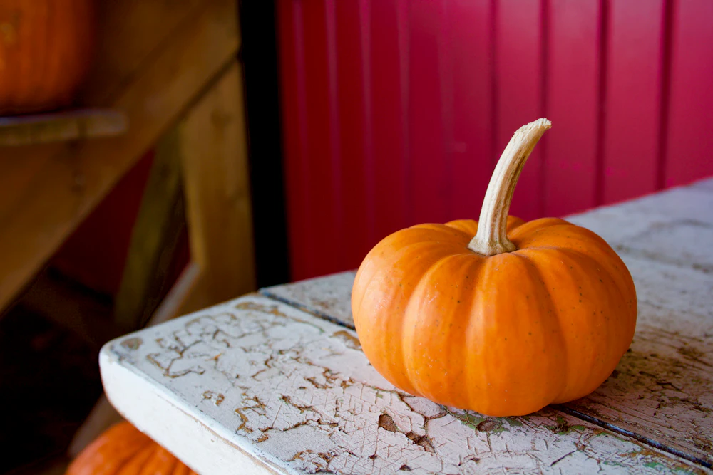 Ein kleiner orangefarbener Kürbis auf einem weißen Holztisch