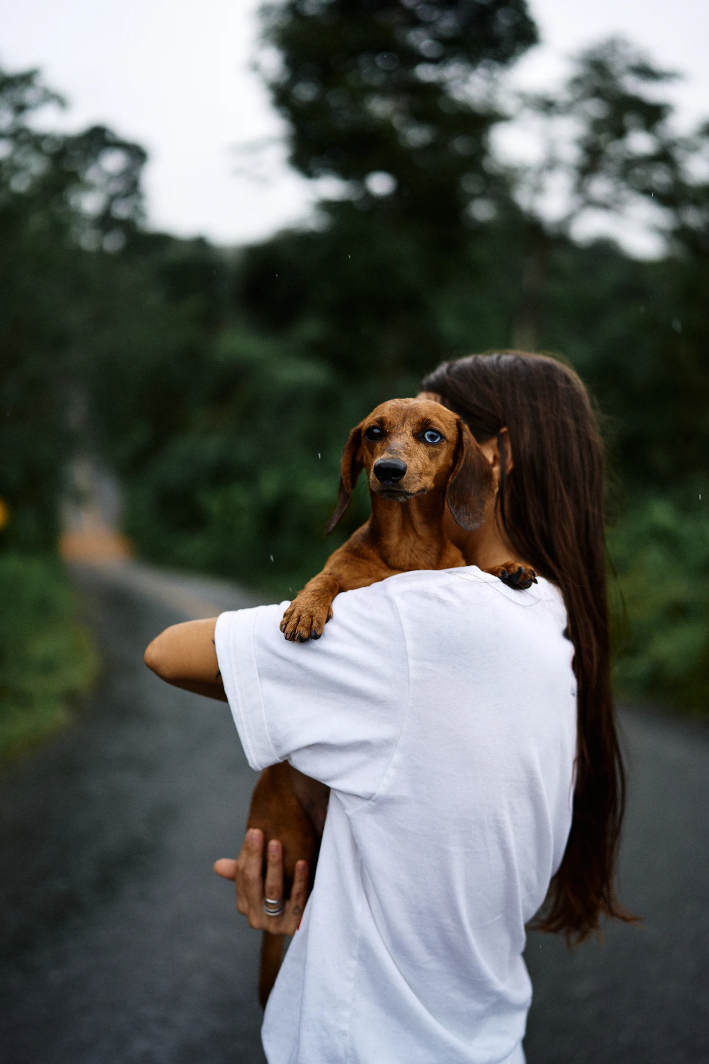 Eine Frau trägt ihren braunen Dackel auf dem Arm, der Hund schaut über ihre Schulter
